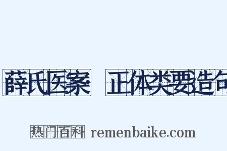 薛氏医案·正体类要造句是什么意思的图片